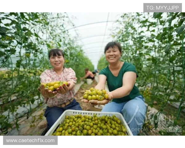 轻松找到ag捕鱼官网地址，安全游戏体验从这里开始保障玩家权益