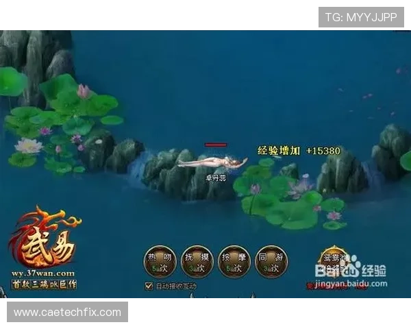 掌握金龙娱乐场真人游戏玩法技巧，提升你的胜率和游戏体验的方法
